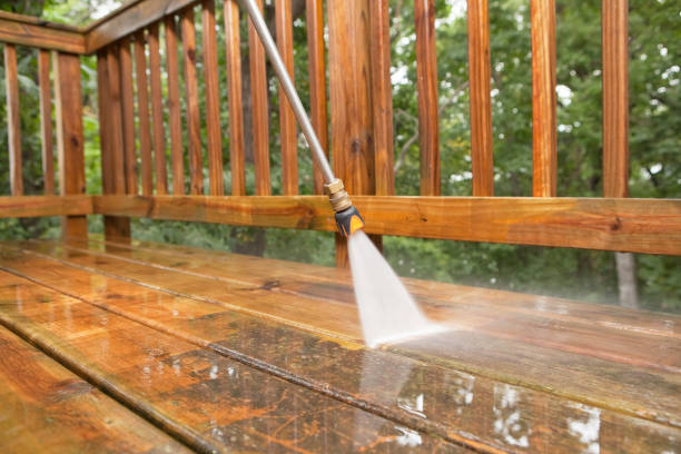 Best Fence Cleaning  in Winter Gardens, CA